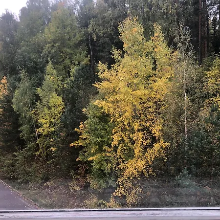 Separate Private Room, Near Airport